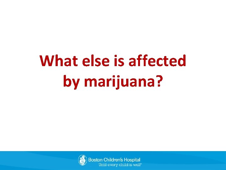 What else is affected by marijuana? 