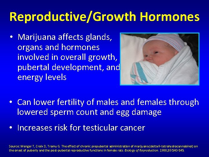 Reproductive/Growth Hormones • Marijuana affects glands, organs and hormones involved in overall growth, pubertal