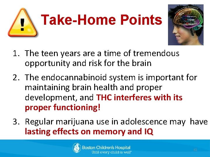 Take-Home Points 1. The teen years are a time of tremendous opportunity and risk