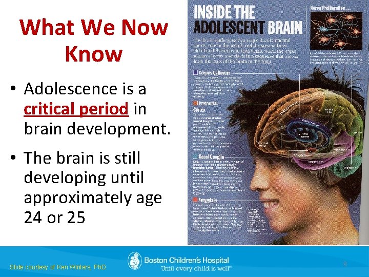 What We Now Know • Adolescence is a critical period in brain development. •