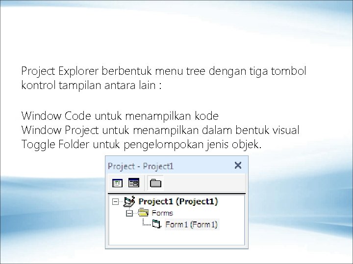 Project Explorer berbentuk menu tree dengan tiga tombol kontrol tampilan antara lain : Window
