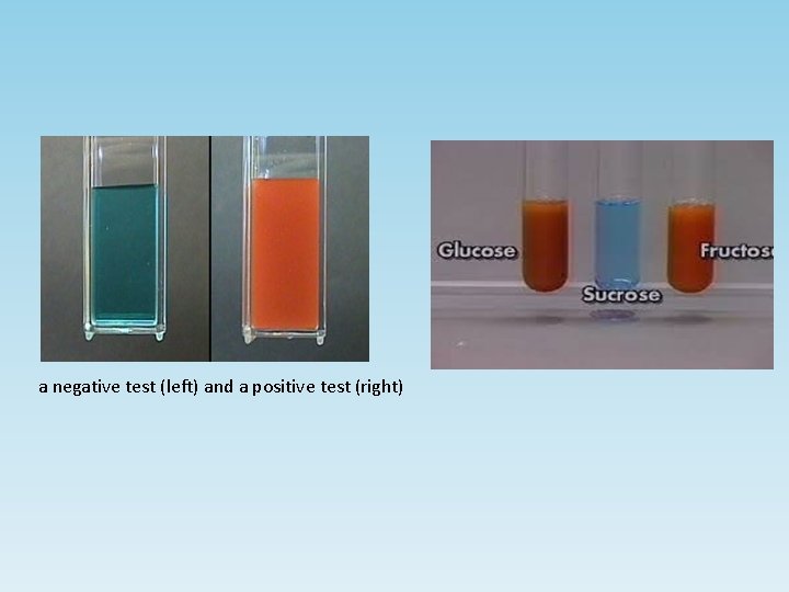 a negative test (left) and a positive test (right) 