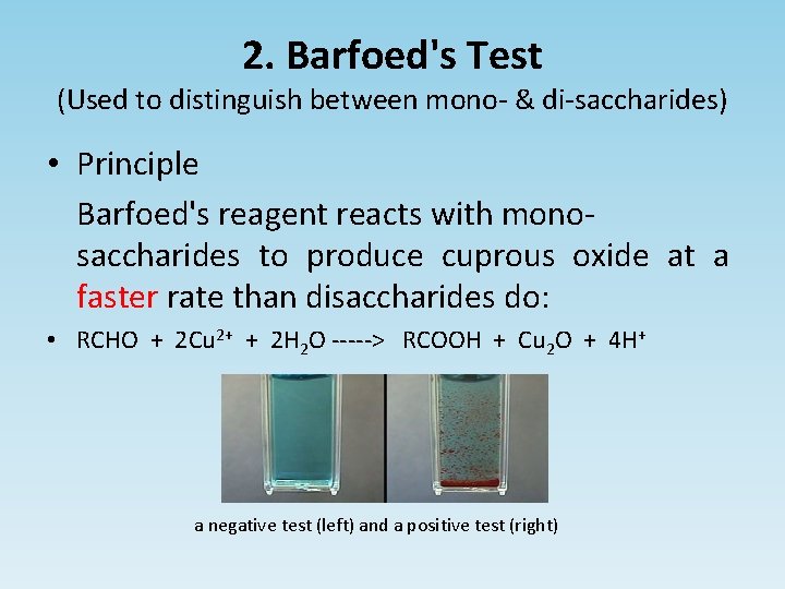 Qualitative Analysis Test for Carbohydrates Objectives General information