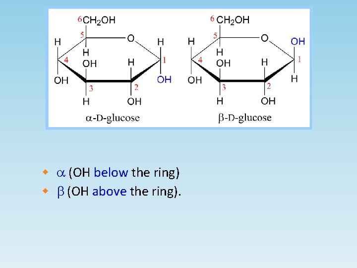 w a (OH below the ring) w b (OH above the ring). 