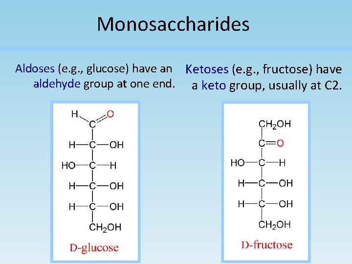 Monosaccharides Aldoses (e. g. , glucose) have an Ketoses (e. g. , fructose) have