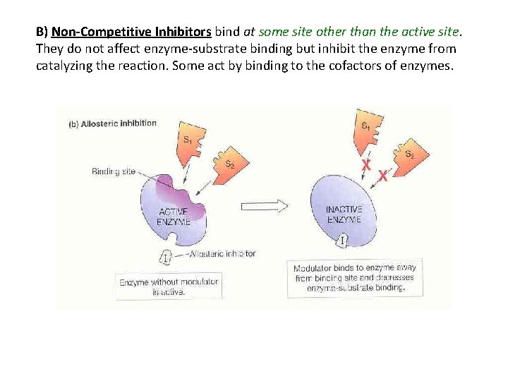 B) Non-Competitive Inhibitors bind at some site other than the active site. They do