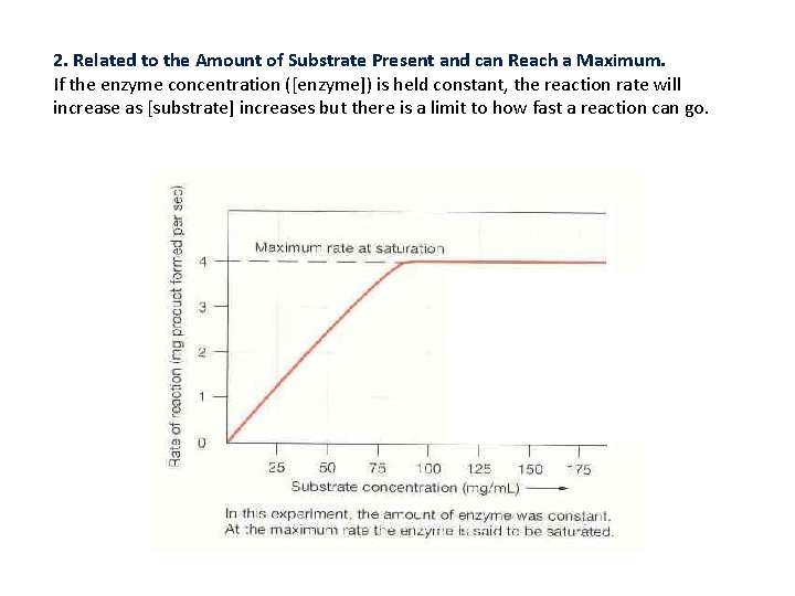 2. Related to the Amount of Substrate Present and can Reach a Maximum. If