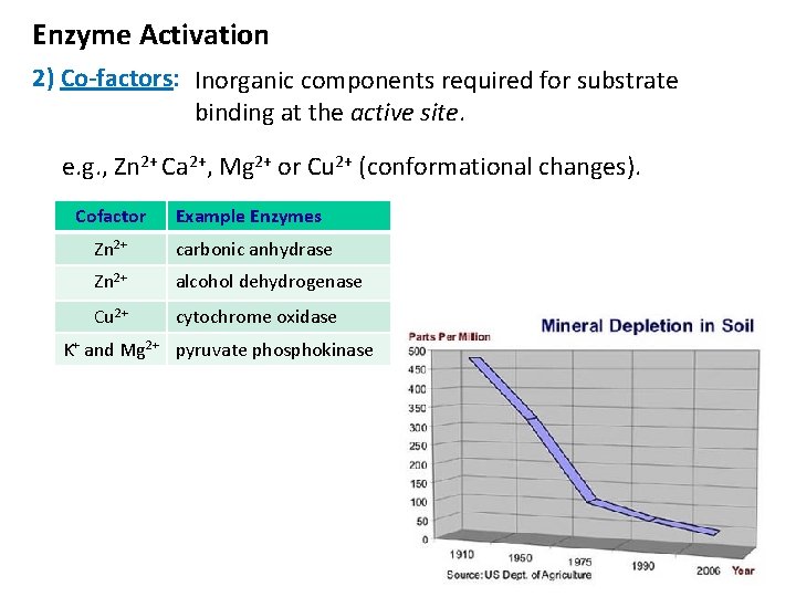 Enzyme Activation 2) Co-factors: Inorganic components required for substrate binding at the active site.