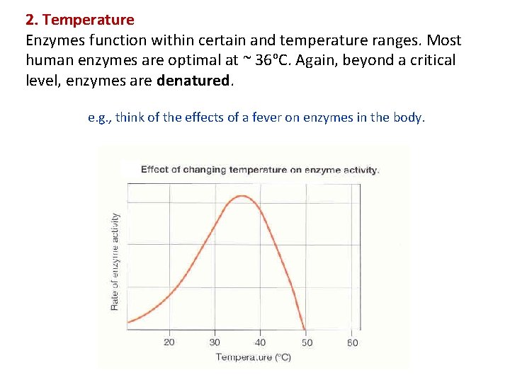 2. Temperature Enzymes function within certain and temperature ranges. Most human enzymes are optimal
