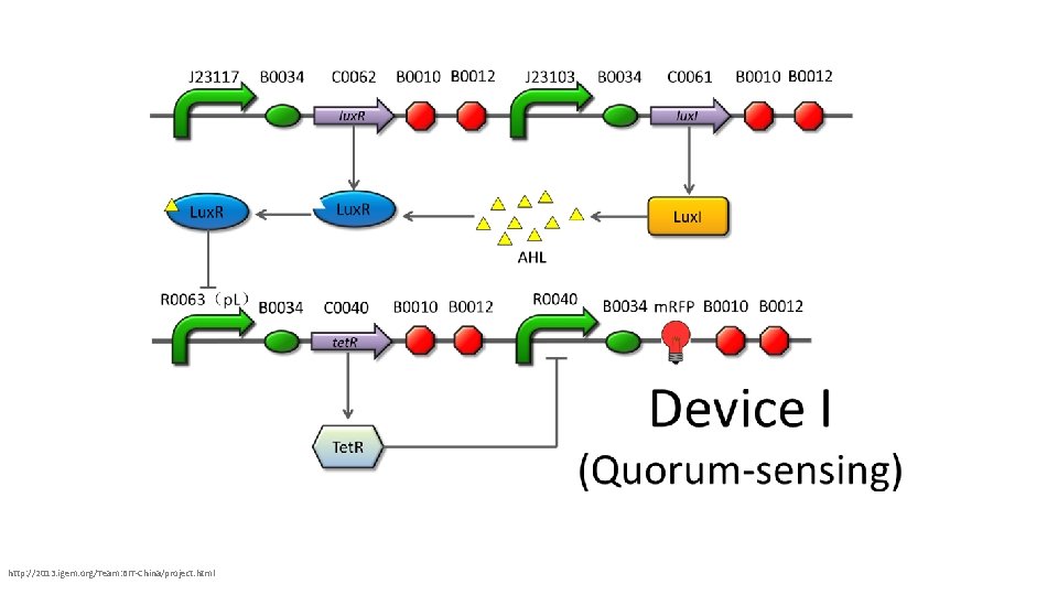 http: //2013. igem. org/Team: BIT-China/project. html 