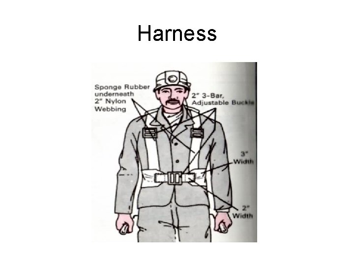 Harness 