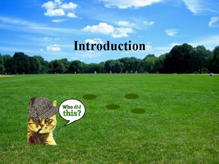 Introduction 