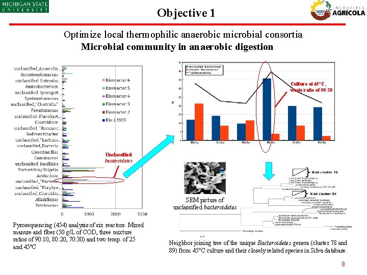 Objective 1 Optimize local thermophilic anaerobic microbial consortia Microbial community in anaerobic digestion Culture