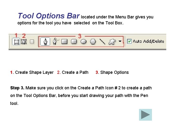 Tool Options Bar located under the Menu Bar gives you options for the tool