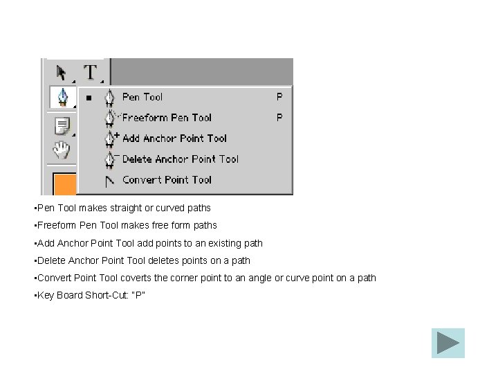  • Pen Tool makes straight or curved paths • Freeform Pen Tool makes