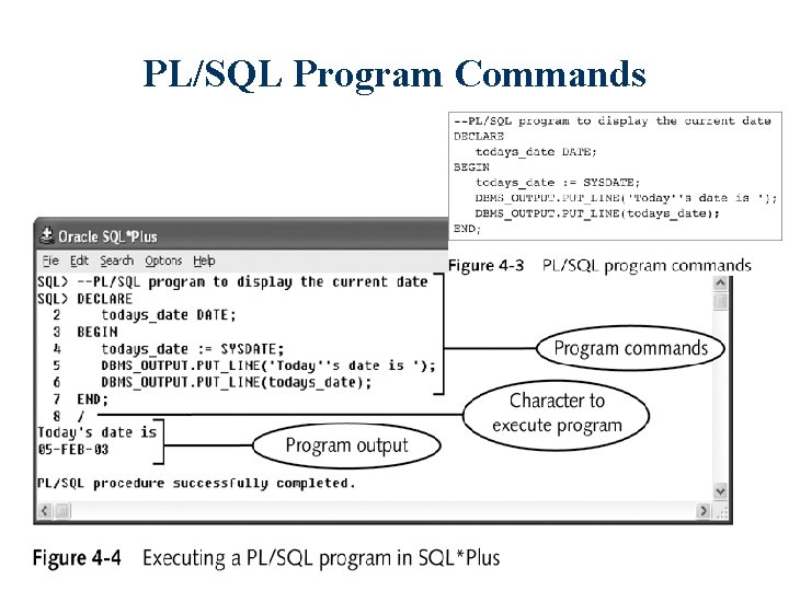 PL/SQL Program Commands 14 