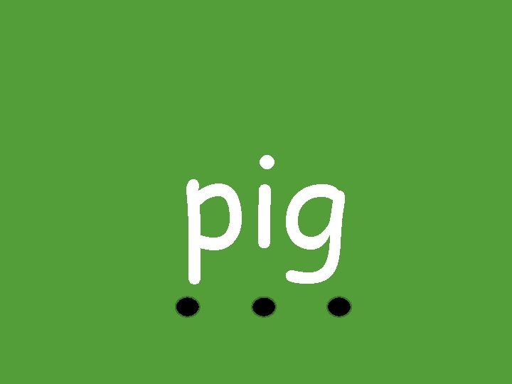 pig 