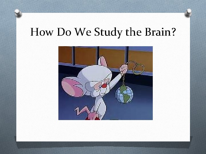 How Do We Study the Brain? 