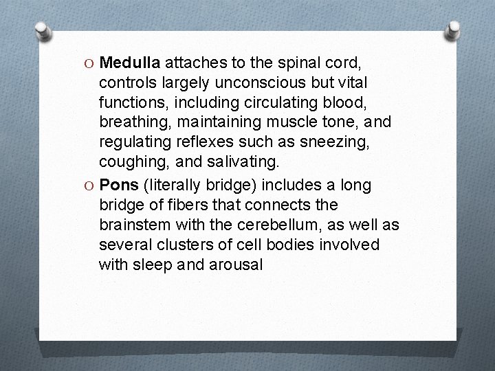 O Medulla attaches to the spinal cord, controls largely unconscious but vital functions, including