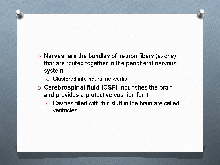 O Nerves are the bundles of neuron fibers (axons) that are routed together in