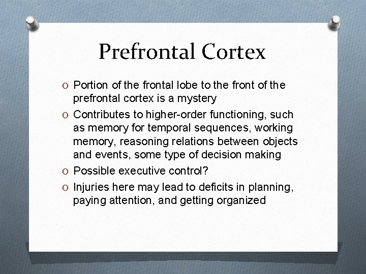 Prefrontal Cortex O Portion of the frontal lobe to the front of the prefrontal