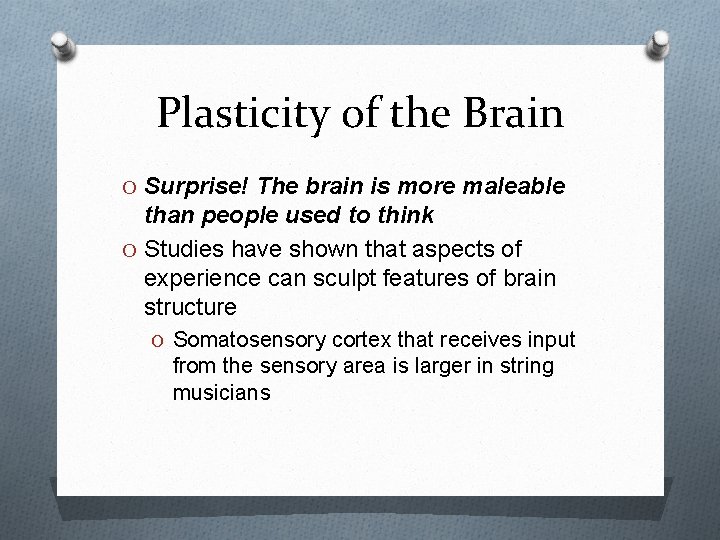 Plasticity of the Brain O Surprise! The brain is more maleable than people used
