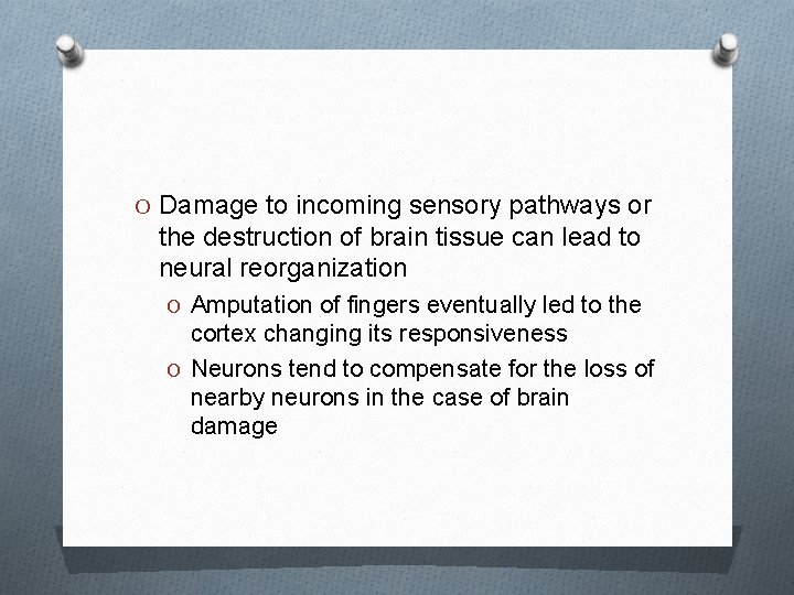O Damage to incoming sensory pathways or the destruction of brain tissue can lead