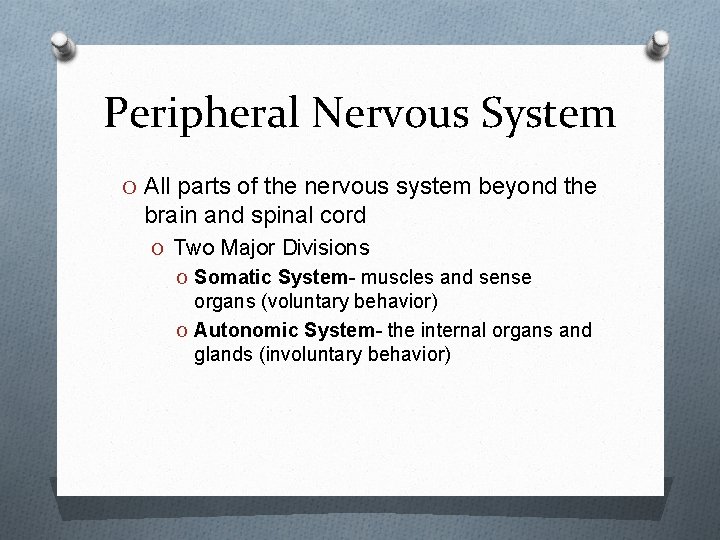 Peripheral Nervous System O All parts of the nervous system beyond the brain and