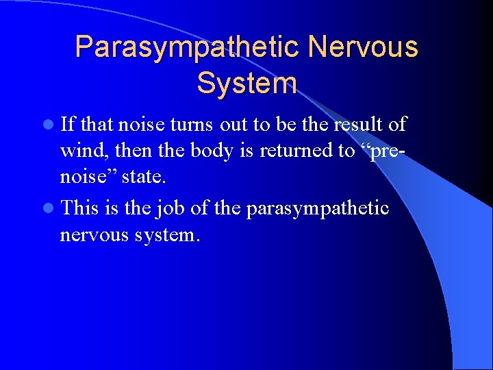 Parasympathetic Nervous System l If that noise turns out to be the result of