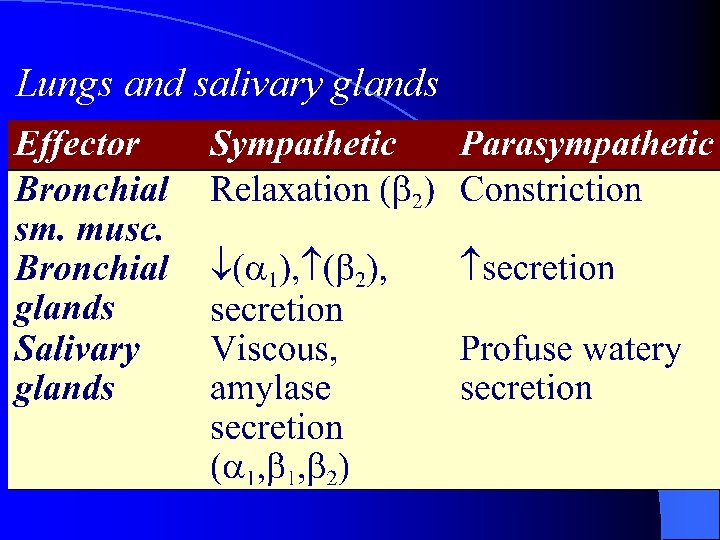 Lungs and salivary glands 