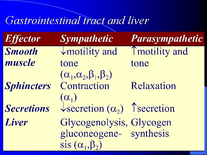 Gastrointestinal tract and liver 