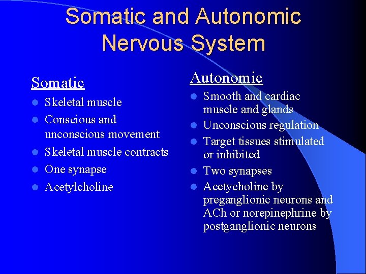 Somatic and Autonomic Nervous System Somatic l l l Skeletal muscle Conscious and unconscious