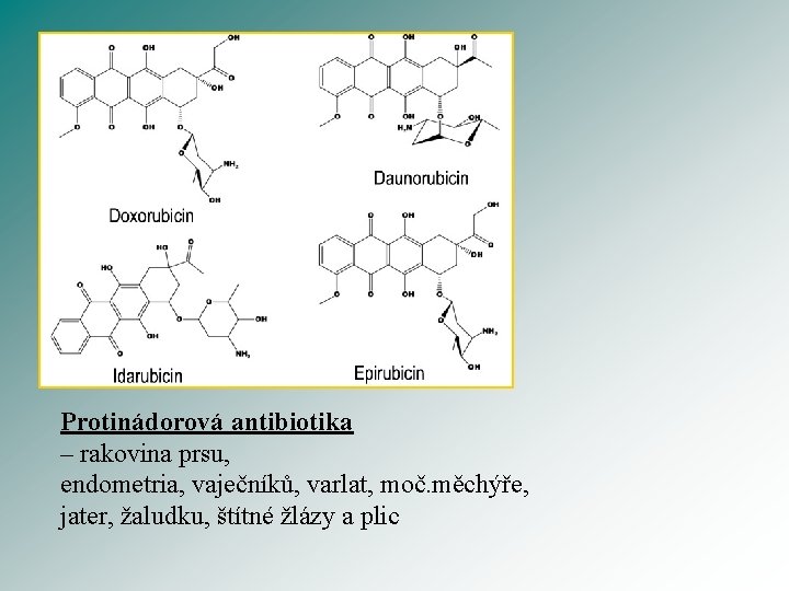 Protinádorová antibiotika – rakovina prsu, endometria, vaječníků, varlat, moč. měchýře, jater, žaludku, štítné žlázy