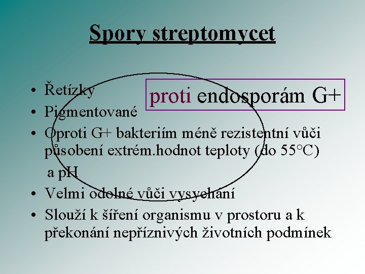 Spory streptomycet • Řetízky proti endosporám G+ • Pigmentované • Oproti G+ bakteriím méně