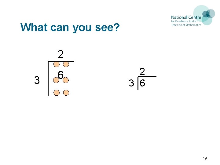 What can you see? 2 3 6 19 