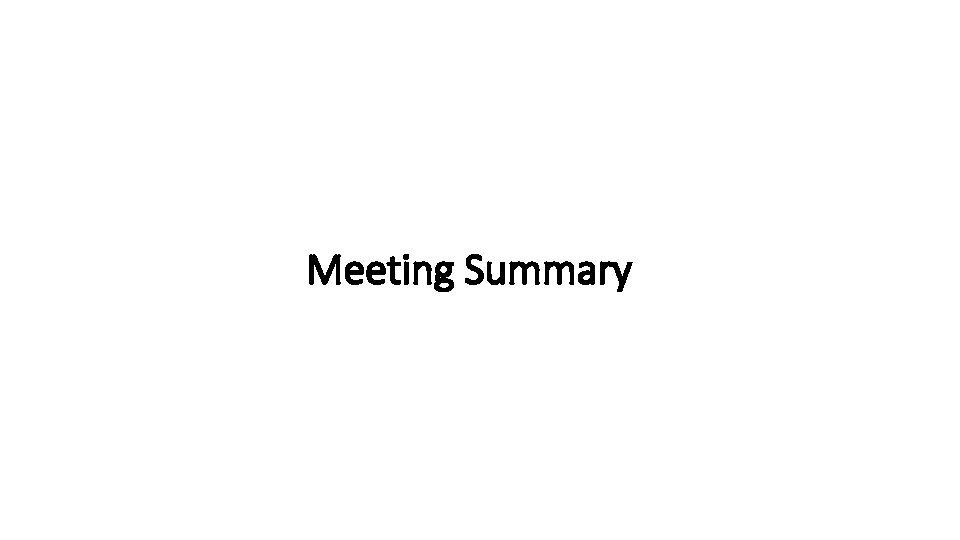 Meeting Summary 