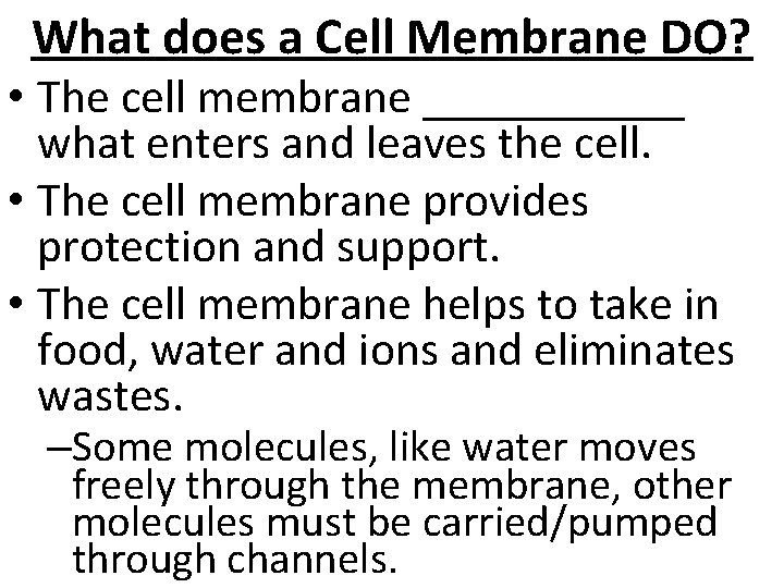 What does a Cell Membrane DO? • The cell membrane ______ what enters and
