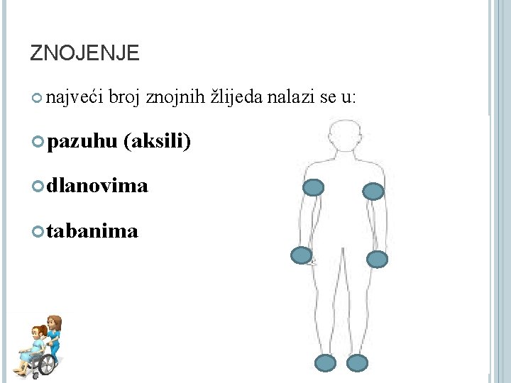 ZNOJENJE najveći broj znojnih žlijeda nalazi se u: pazuhu (aksili) dlanovima tabanima 