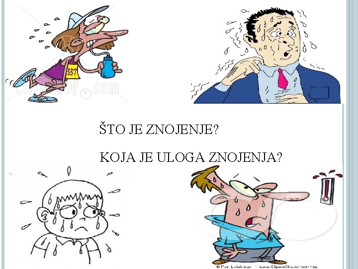 ŠTO JE ZNOJENJE? KOJA JE ULOGA ZNOJENJA? 