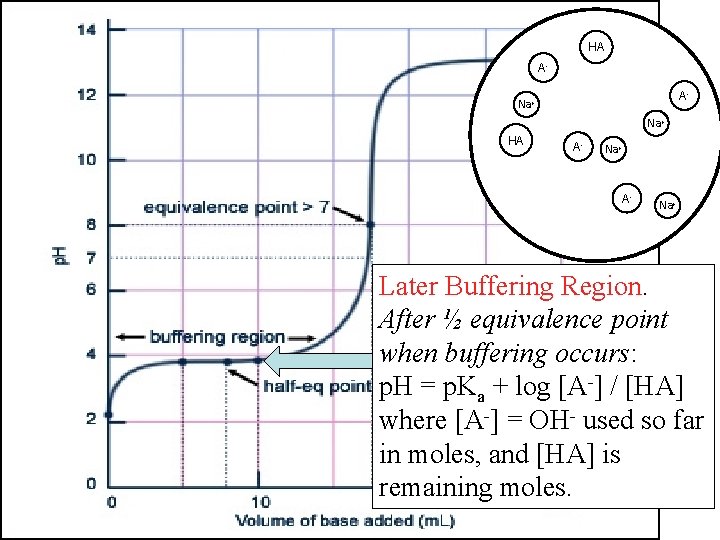HA AHA OHA- Na+ OHHA AHA HA Na+ OHAHA Na+ Later Buffering Region. After