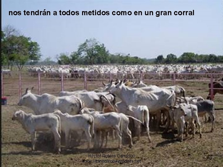 nos tendrán a todos metidos como en un gran corral Héctor Robles Carrasco www.