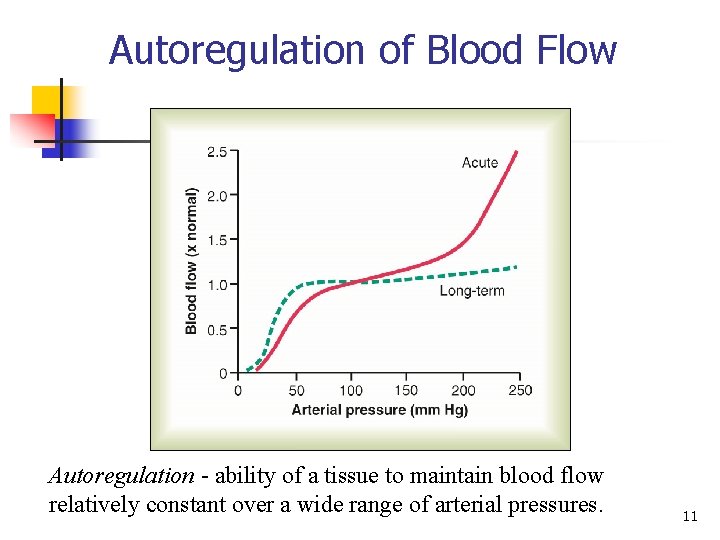 Autoregulation of Blood Flow Autoregulation ability of a tissue to maintain blood flow relatively Autoregulation of Blood Flow Autoregulation ability of a tissue to maintain blood flow relatively