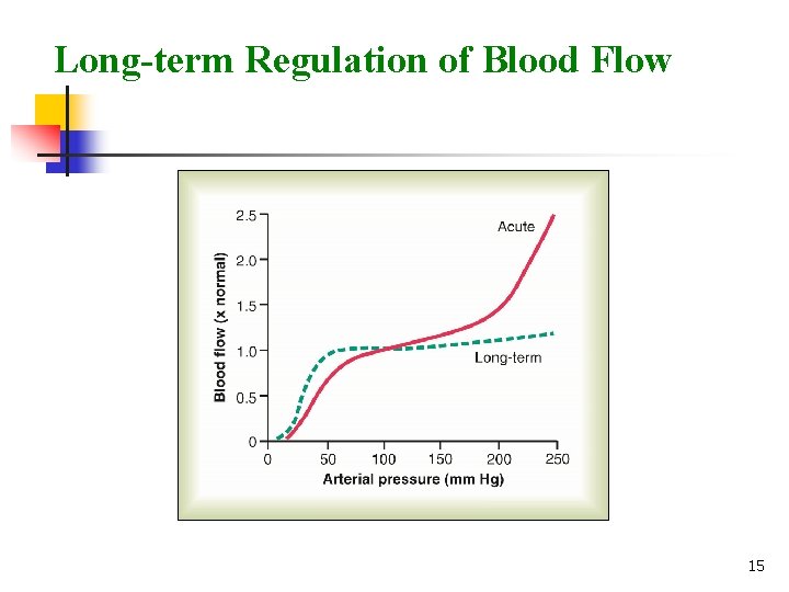 Long-term Regulation of Blood Flow 15 Long-term Regulation of Blood Flow 15