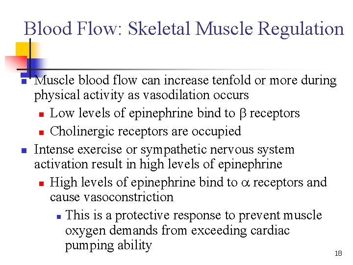 Blood Flow: Skeletal Muscle Regulation n n Muscle blood flow can increase tenfold or Blood Flow: Skeletal Muscle Regulation n n Muscle blood flow can increase tenfold or