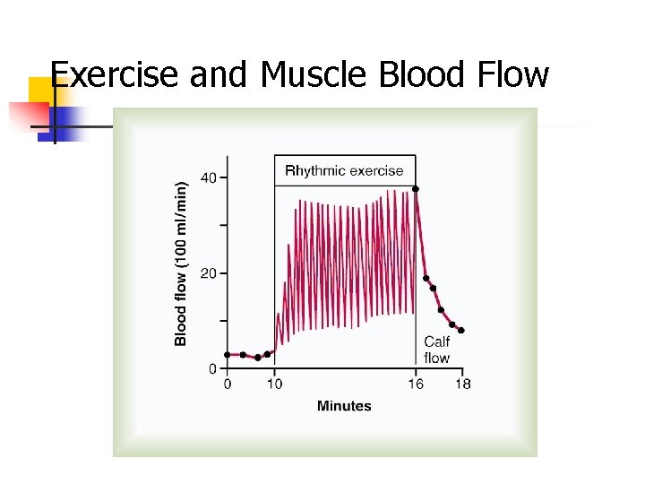 Exercise and Muscle Blood Flow Exercise and Muscle Blood Flow