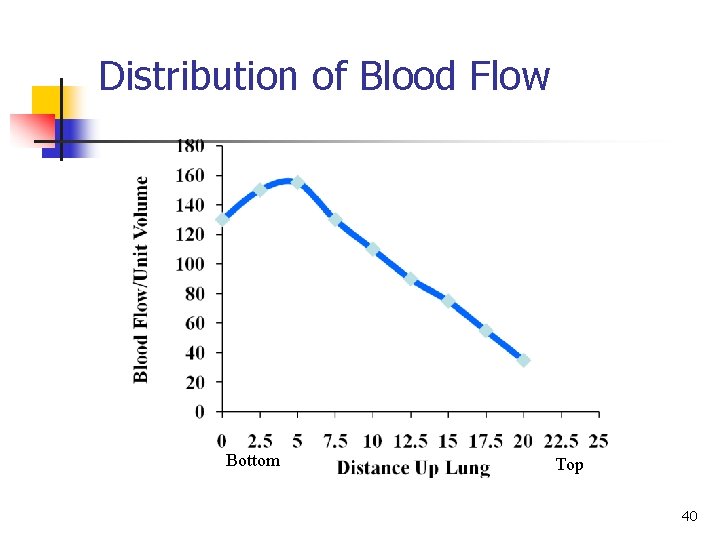 Distribution of Blood Flow Bottom Top 40 Distribution of Blood Flow Bottom Top 40
