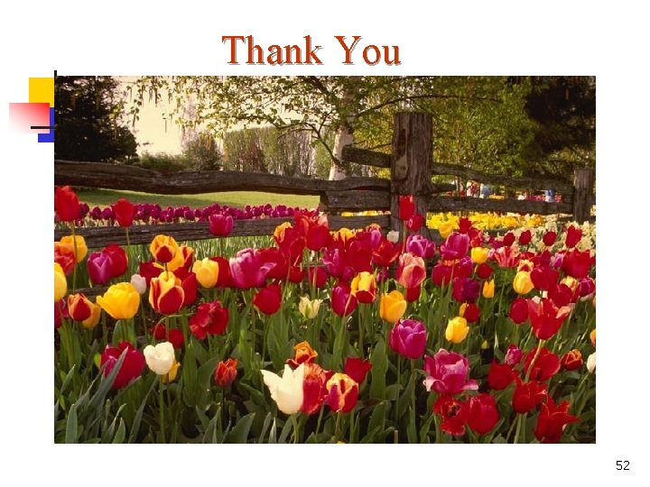 Thank You 52 Thank You 52