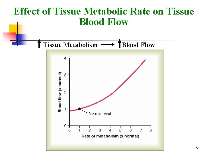 Effect of Tissue Metabolic Rate on Tissue Blood Flow Tissue Metabolism Blood Flow 6 Effect of Tissue Metabolic Rate on Tissue Blood Flow Tissue Metabolism Blood Flow 6