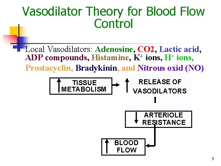 Vasodilator Theory for Blood Flow Control n Local Vasodilators: Adenosine, CO 2, Lactic acid, Vasodilator Theory for Blood Flow Control n Local Vasodilators: Adenosine, CO 2, Lactic acid,