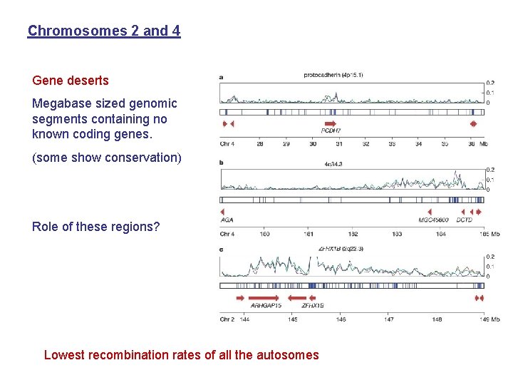 Chromosomes 2 and 4 Gene deserts Megabase sized genomic segments containing no known coding